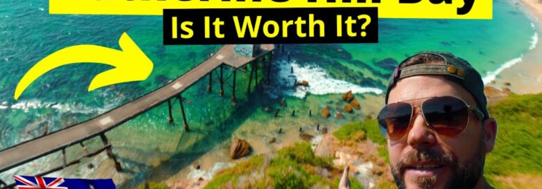 Is CATHERINE HILL BAY Worth It? Newcastle NSW Beach Dive Drone Video Australia