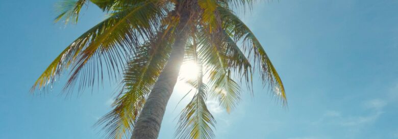 Pattaya vs Hua Hin beach showdown – Which is best for your retirement