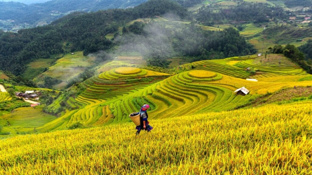 Sapa Vietnam, Sapa, Sapa Vlog, Firt Time in Sapa, Sapa First Impressions, Sapa Travel Vlog, Sa Pa Vietnam, Sapa Travel, Vietnam Travel, Travel Vietnam, Vietnam Vlog