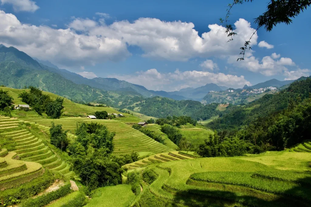 Sapa Vietnam, Sapa, Sapa Vlog, Firt Time in Sapa, Sapa First Impressions, Sapa Travel Vlog, Sa Pa Vietnam, Sapa Travel, Vietnam Travel, Travel Vietnam, Vietnam Vlog